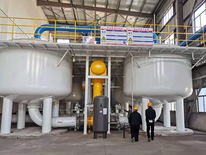 Industrial Oxygen Generation Systems